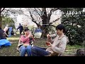 Cozy LIFE in Japan 🇯🇵: Cherry Blossom Days in Tokyo 🌸 Homemade Bento & Quiet Joy