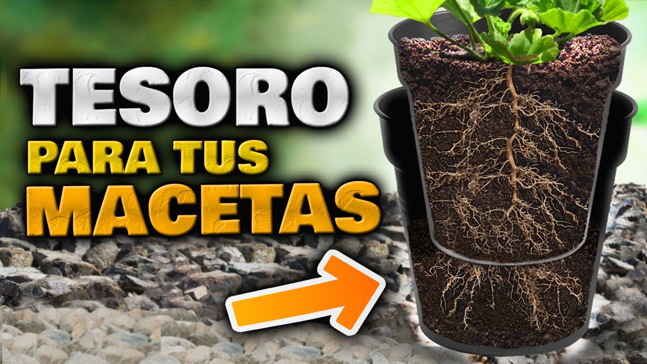 Sabes cuáles son las mejores macetas para tus plantas? - Foto 1