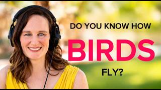 See How Birds Fly || Elearning Series With Jen || Voiceovers By Jen
