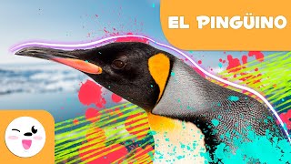 EL PINGÜINO  Animales para niños ❄ Episodio 2