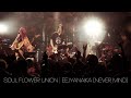 SOUL FLOWER UNION - エエジャナイカ EEJYANAIKA (NEVER MIND) [2023/12/17 LIVE IN TOKYO]