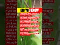 🔪 Simple kitchen tricks that actually work! Which hack will you try first? 👇✨