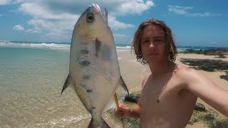 Spearfishing the Shallows - Catch n Cook on the Beach