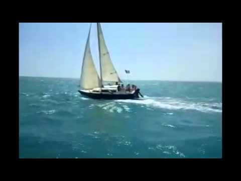 in Barca a Vela con Alis