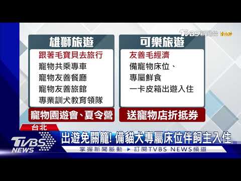 搶500億寵物商機 國旅推毛孩行程熱銷