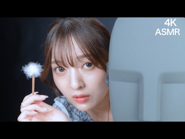 ✨優しすぎる耳かき【君に耳かきASMR】LINKL PLANETの尾本侑樹奈さん！リクエストに答えて登場🩷『声がうるさかったらごめんなさい』(君キュンch)