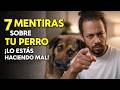 Las 7 Mentiras Sobre Perros Que Todo El Mundo Cree (y que están dañando al tuyo)