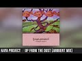 Kaya Project Up From The Dust Ambient Mix Mellow Downtempo Meditation Music mp3