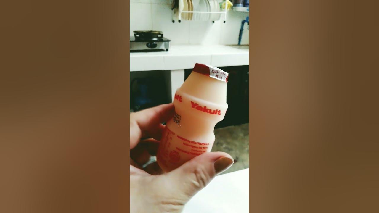 drink-yakult-everyday-para-tyan-happy-everyday-yummy-youtube