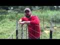 How to build a hog trap - Figure C feral hogs trap