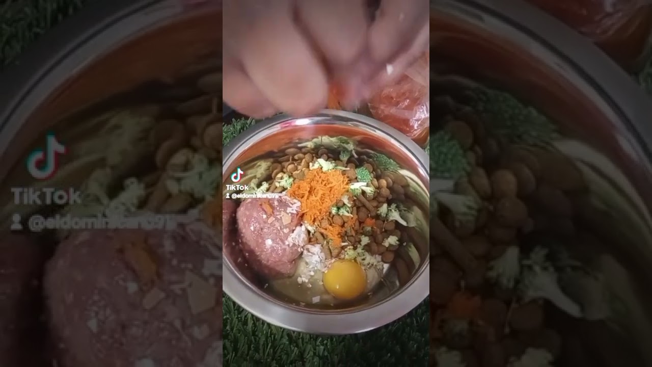 cómo prepararle la comida a un american bully tan sólo 2 meses