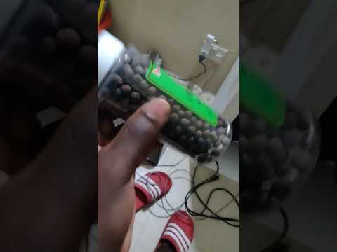 Most common ingredient in the Jamaican Cuisine? - YouTube