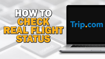 How to Check Real Flight Status and Updates on Trip com (Quick Tutorial)