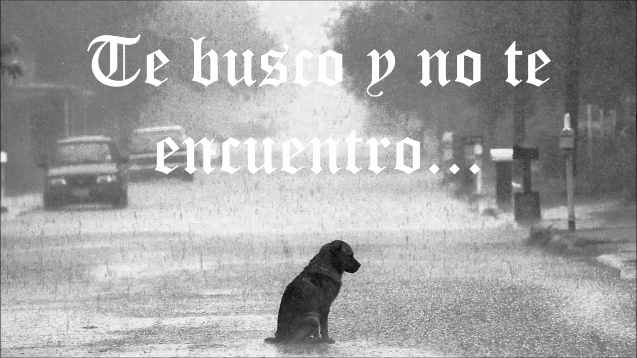 Casino En La Nube Blanca Libre De Humo