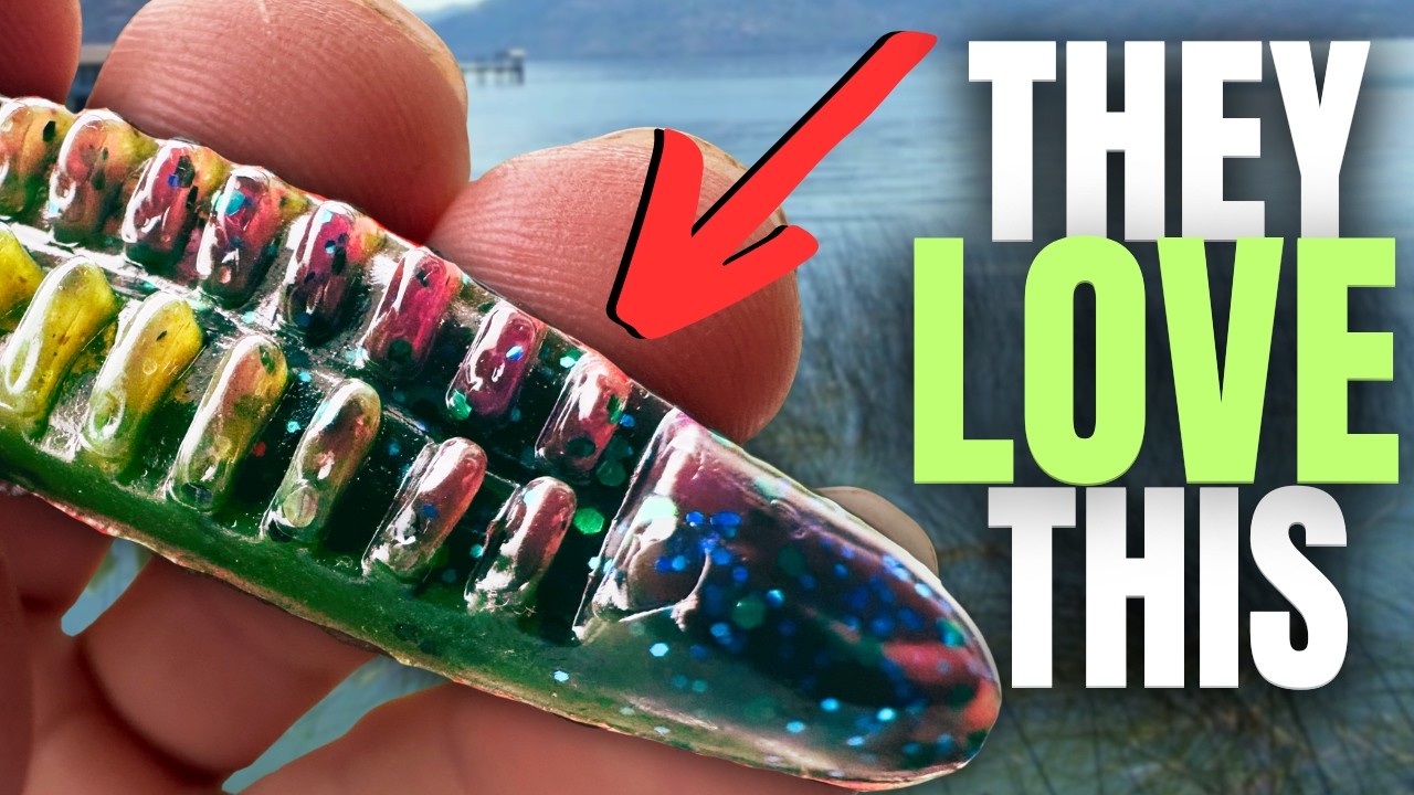 The BEST & Most CONSISTENT Summer LURE For BIG BASS