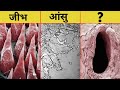 OMG 😱 Microscope के अंदर ये दिखता है । 😳 Things you can only see under a Microscope | FE #019