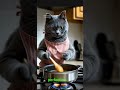 AI Cat Cooks a Healthy Veggie Feast! 🐱🥦" 🍝🥗🍱  #aicats #funnyanimals #cat