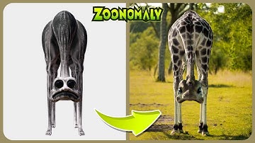 Zoonomaly - Game VS Real Life | All Character Comparison