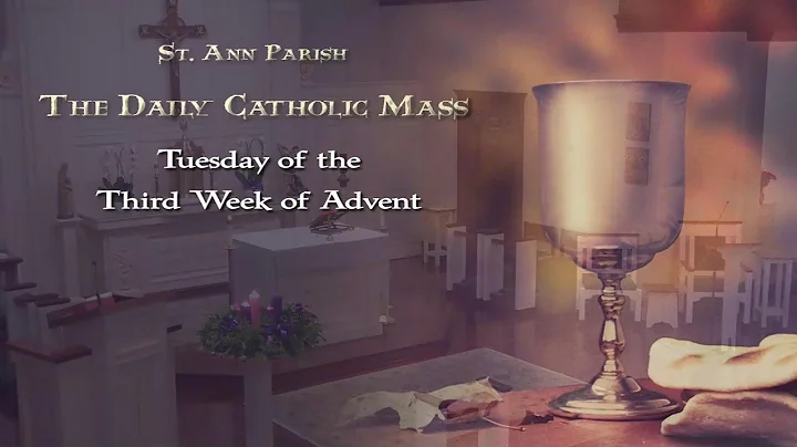 December 16, 2025 - Tuesday of the Third Week of Advent