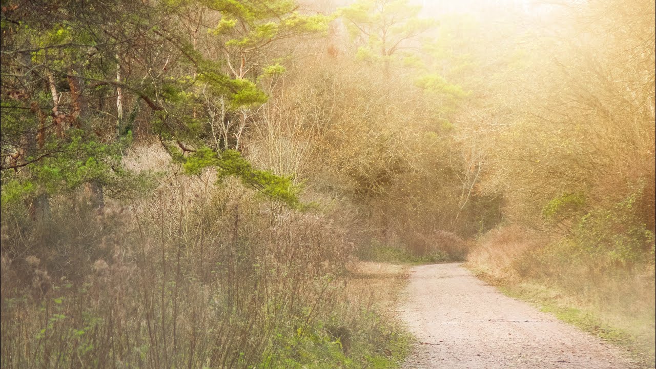 Vlog 2. Why I Am Moving Moving To England From Australia Series YouTube