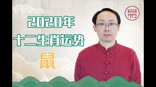 2020年屬鼠運勢怎麽樣？事業、財源、感情全面解析，快來看看妳是否足夠旺！What will be the fortunes of zodiac rat in 2020?