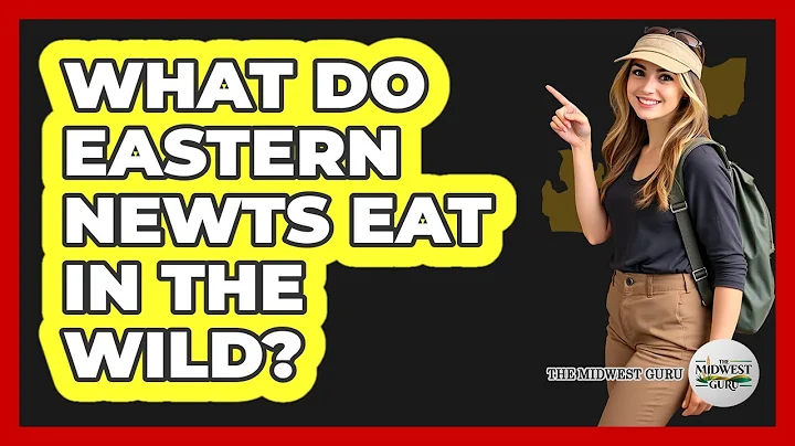 What Do Eastern Newts Eat In The Wild?