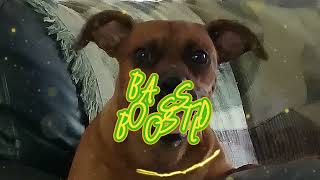 Baha Men - Who Let The Dogs Out (BASS BOOSTED)