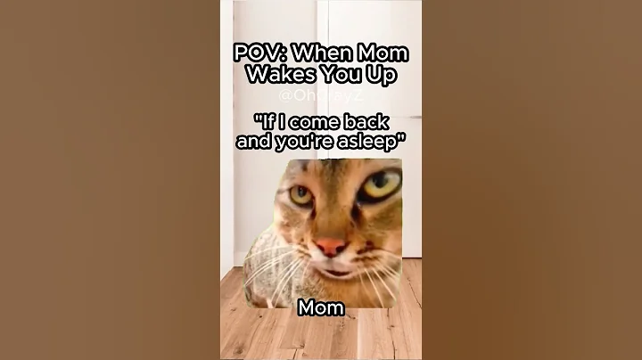 Video 11904781: mom cat, funny cat family