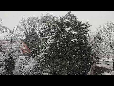 sneeuw Oost-Souburg 08-03-2023