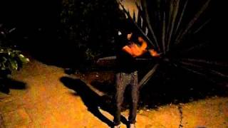 SAM_0264.AVI
