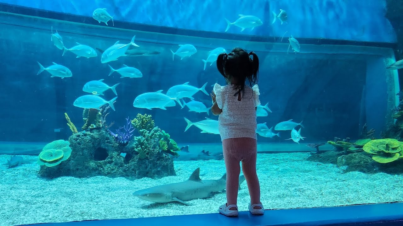 Mariana's Ocean Park Tour