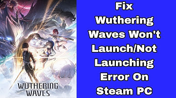 Fix Wuthering Waves Won