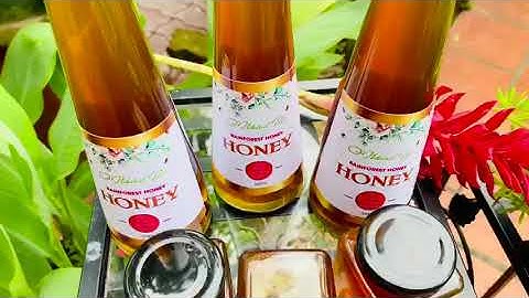 MẬT ONG HOS THIÊN NHIÊN RỪNG NHIỆT ĐỚI|Vào Bếp Cùng Nguyễn Phi Hùng