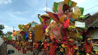 SUBANG - BINTANG MUDA - TERLALU SAYANG - kunir - desa simpar