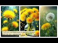 Интересные факты про одуванчик.