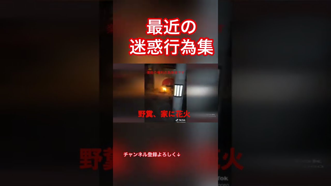 動画 自宅に花火100本を打たれたyoutuberがーどまん 排泄行為の被害も受ける 銃とバッジは置いていけ