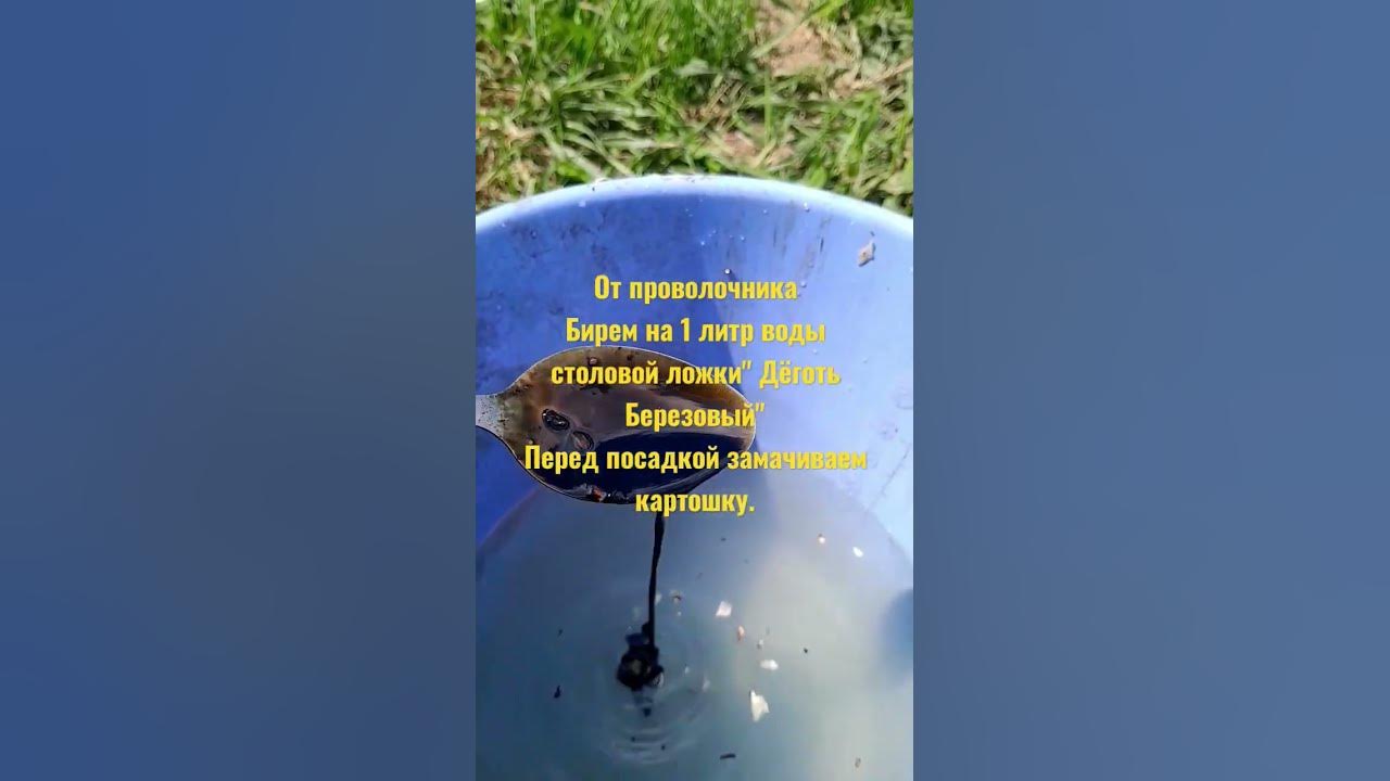 как избавиться от проволочника? - YouTube
