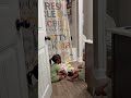 #shorts #shortvideo #achondroplasia #tuckertribe #girlmom