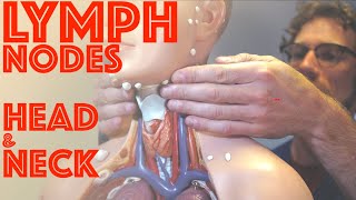 Clinical Examination of Head and Neck Lymph Nodes - Clinical Skills - Dr Gill