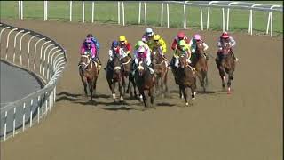 Vidéo de la course PMU PRIX COVID-19 NATIONAL CRISIS HELPLINE 0800 029 999 MAIDEN JUVENILE PLATE