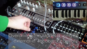 Behringer Model D to TD-3 Filter In (feat. Tequila Yoshi)