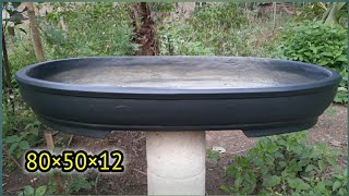 Easy Ways to Make Large Oval Bonsai Pots