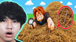   Roblox Search For The Needle