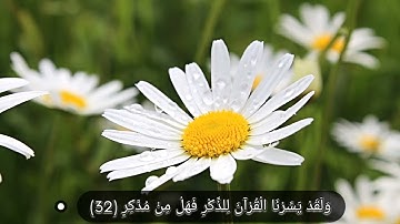 🌸 سورة [القمر]🌸 بصوت هادئ للقارئ حسام الدين عبادي