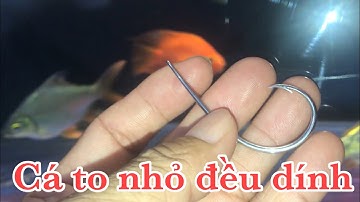 Bán lưỡi câu cá lóc | Cá quả | Mẫu kéo | 0913260614 Anh Bảy Thép | fishing hook| snakehead fishing