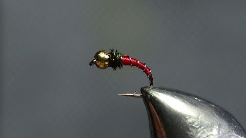 Fly Tying - Red and Peacock Zebra Midge