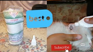 HOW TO CLEAN CAT&#39;S EARS EASILY