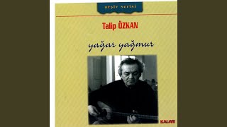 Havada Turna Sesi Gelir