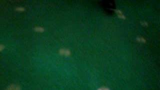 Katydancingcolton Pansted