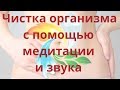 Чистка организма с помощью медитации и звука 21 02 20